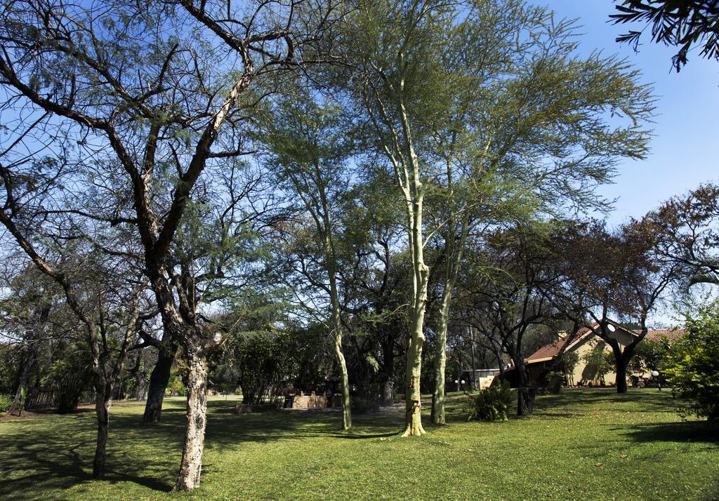 Sunbird Lodge Phalaborwa Exterior photo