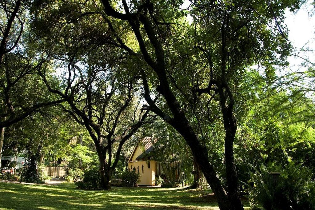 Sunbird Lodge Phalaborwa Exterior photo