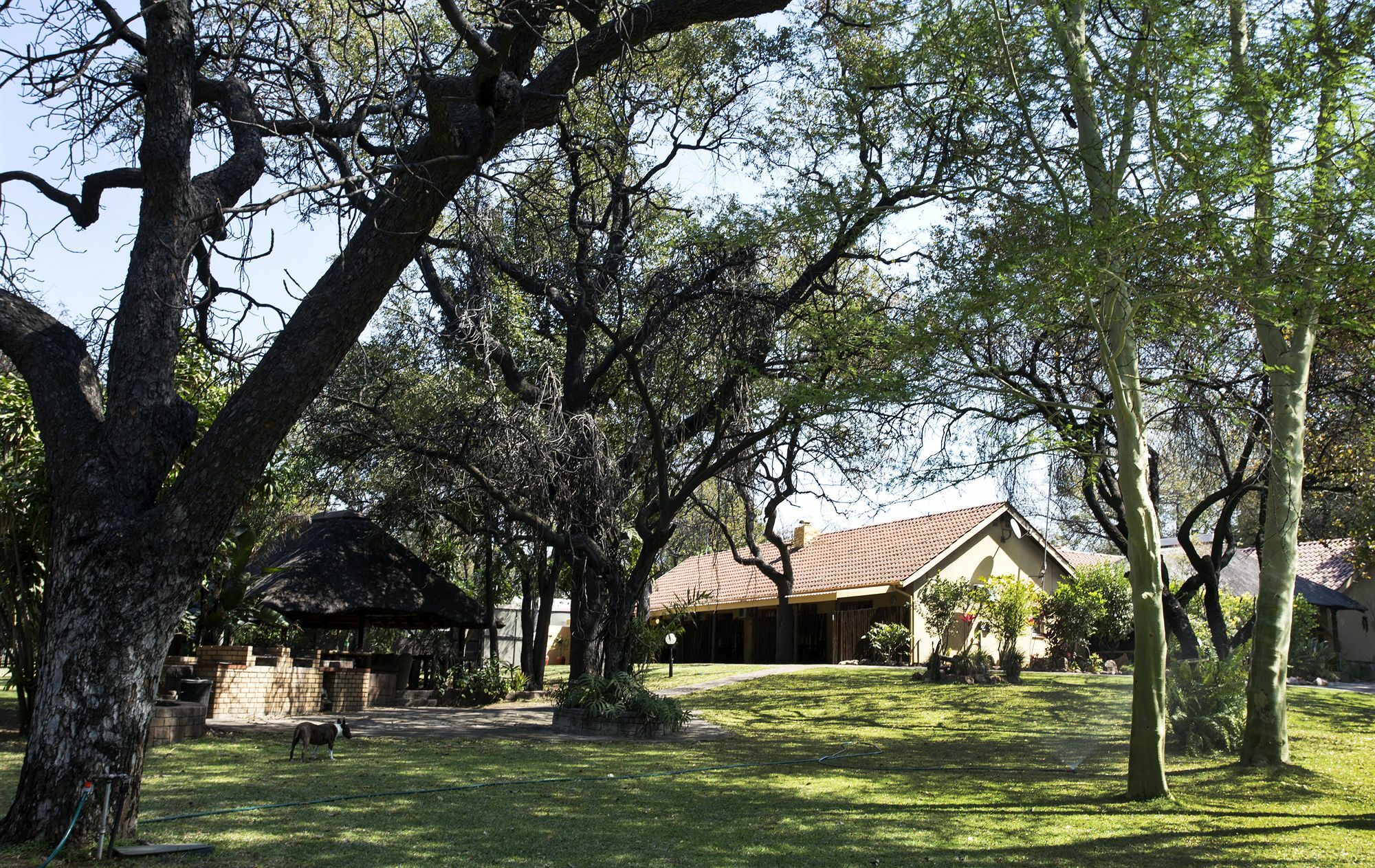 Sunbird Lodge Phalaborwa Exterior photo